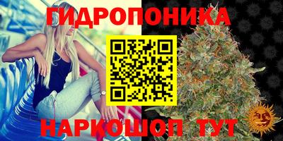соль ск Тулун