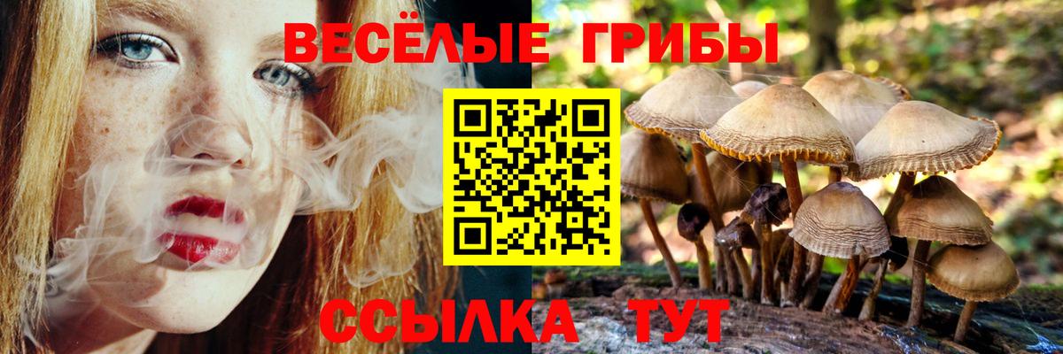 Кыштым  Галлюциногенные грибы Psilocybine cubensis  Псилоцибиновые грибы GOLDEN TEACHER  Вход с VPN 